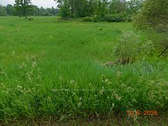 LOT 16 Snider Road, Frontenac, ON K0H 2W0