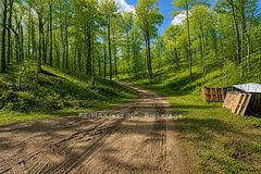 1091 Crystal Lake Road, Trent Lakes, ON K0M 2A0