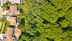 8 Perin Place, Waterloo, ON N2P 1L5