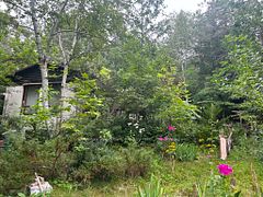136 Oakdene Crescent, Kawartha Lakes, ON K0M 2C0