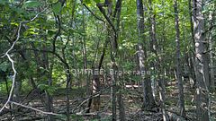 4853 Opeongo Road, Constance Bay - Dunrobin - Kilmaurs - Woodlawn, ON K0A 3M0
