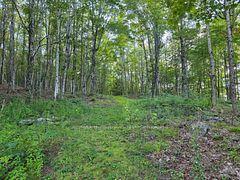 1026 Puffer Road, Minden Hills, ON K0M 2K0