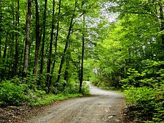 0 North Rusaw Road, North Kawartha, ON K0L 1A0