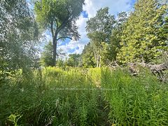 4437 Highway 7, Kawartha Lakes, ON K0L 2W0