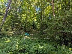 3557 Mountainview Road, Killaloe, Hagarty and Richards, ON K0J 2A0