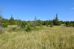 Lot 16 Westplain Road, Greater Napanee, ON K0K 2W0