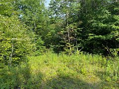 Con 6 Pt Lot 28 Part 2 Road S, Seguin, ON P2A 0B2