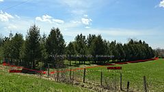 Lot 18 8th Concession, Chatsworth, ON N0H 1K0