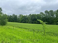 0 Grant Settlement Road, Whitewater Region, ON K0J 1V0