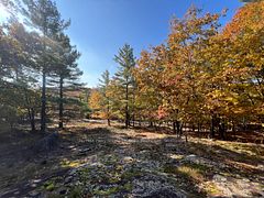 13 Ridgeway Drive, Carling, ON P0G 1G0