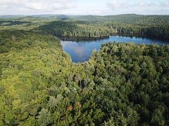 163 Mulvihill Farm Road, Greater Madawaska, ON K7V 3Z7
