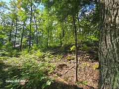 PT LT 17-18 County Road 507, Trent Lakes, ON K0L 1J0