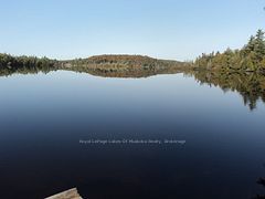1071 Dotty Lake Road, Lake of Bays, ON P0A 1H0