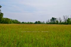 1654 Bethel Road, Stone Mills, ON K0K 3N0